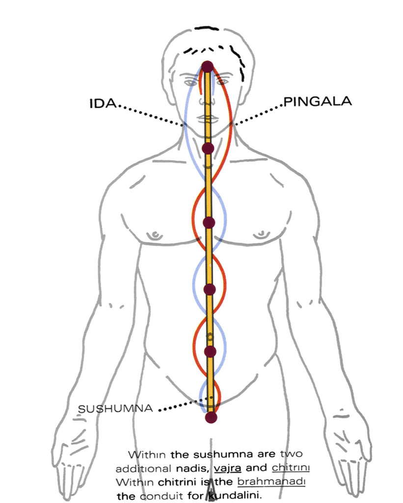 Pingalas (1)