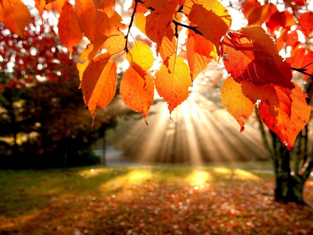 resize-img